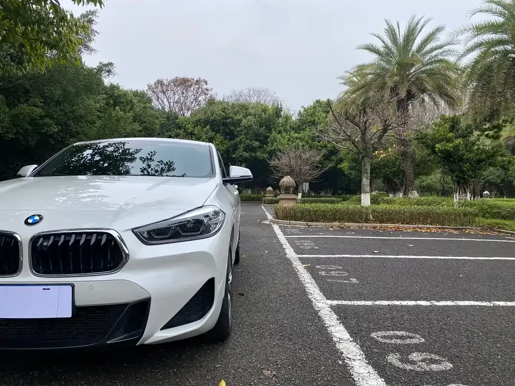 BMW X2 2021 из CN, фото 9