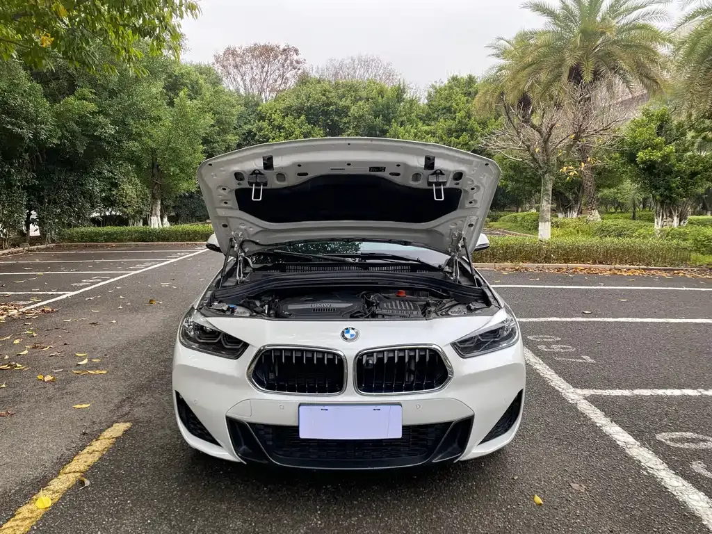 BMW X2 2021 из CN, фото 5