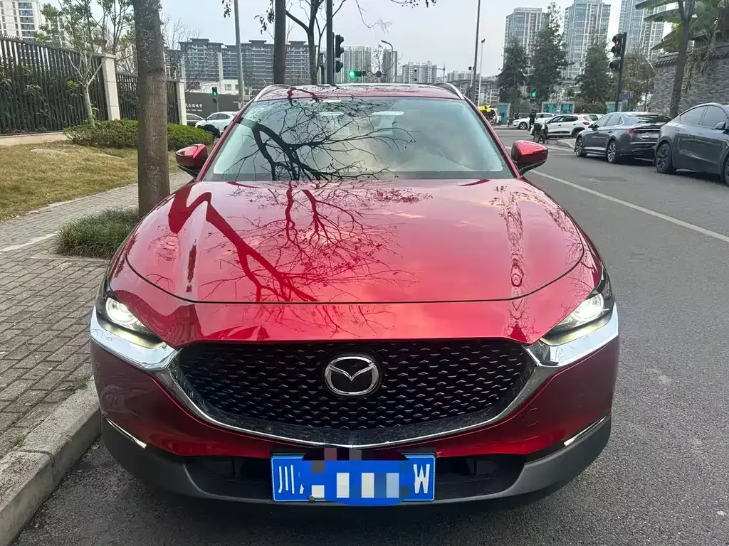 Mazda CX-30 2022 из CN, фото 1