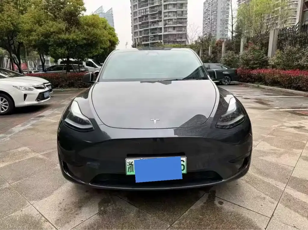 Tesla Model Y — фото 3