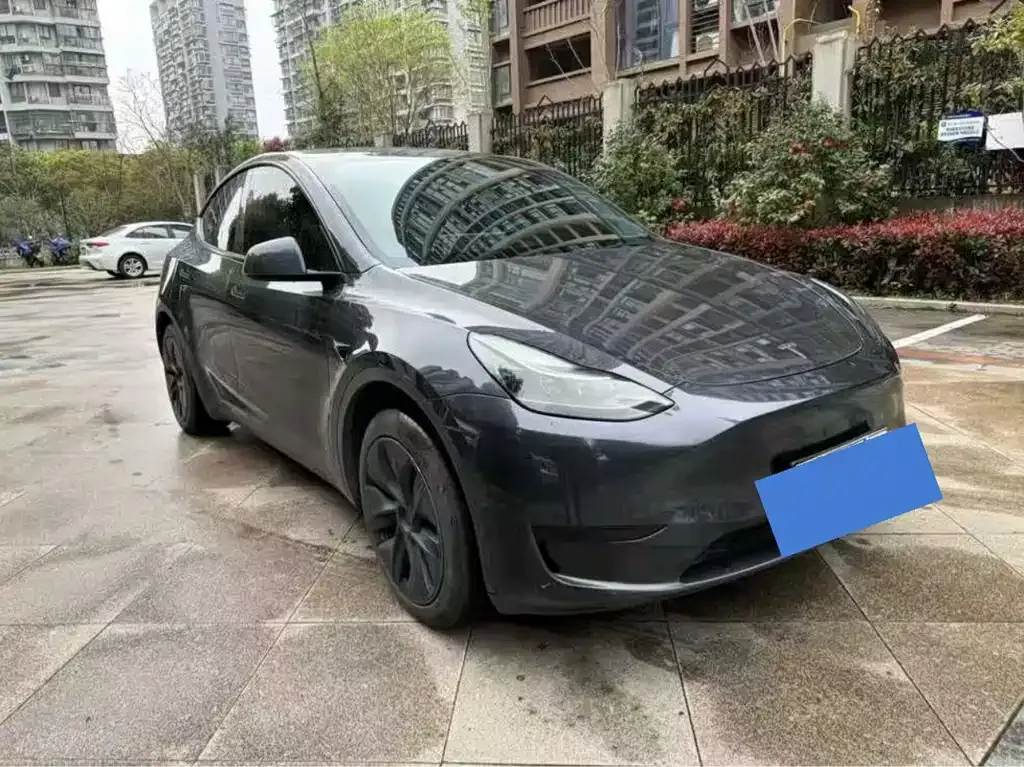 Tesla Model Y — фото 2
