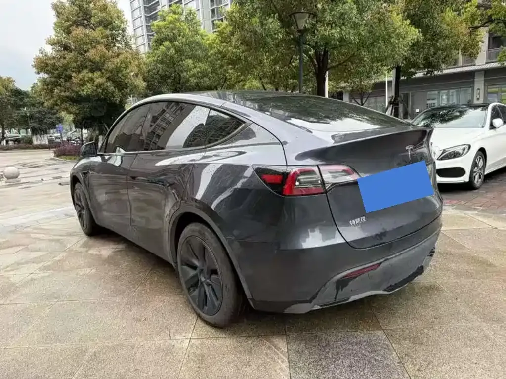 Tesla Model Y — фото 10