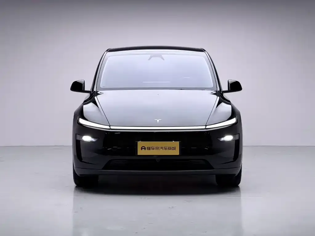 Tesla Model Y 2025 из CN, фото 6