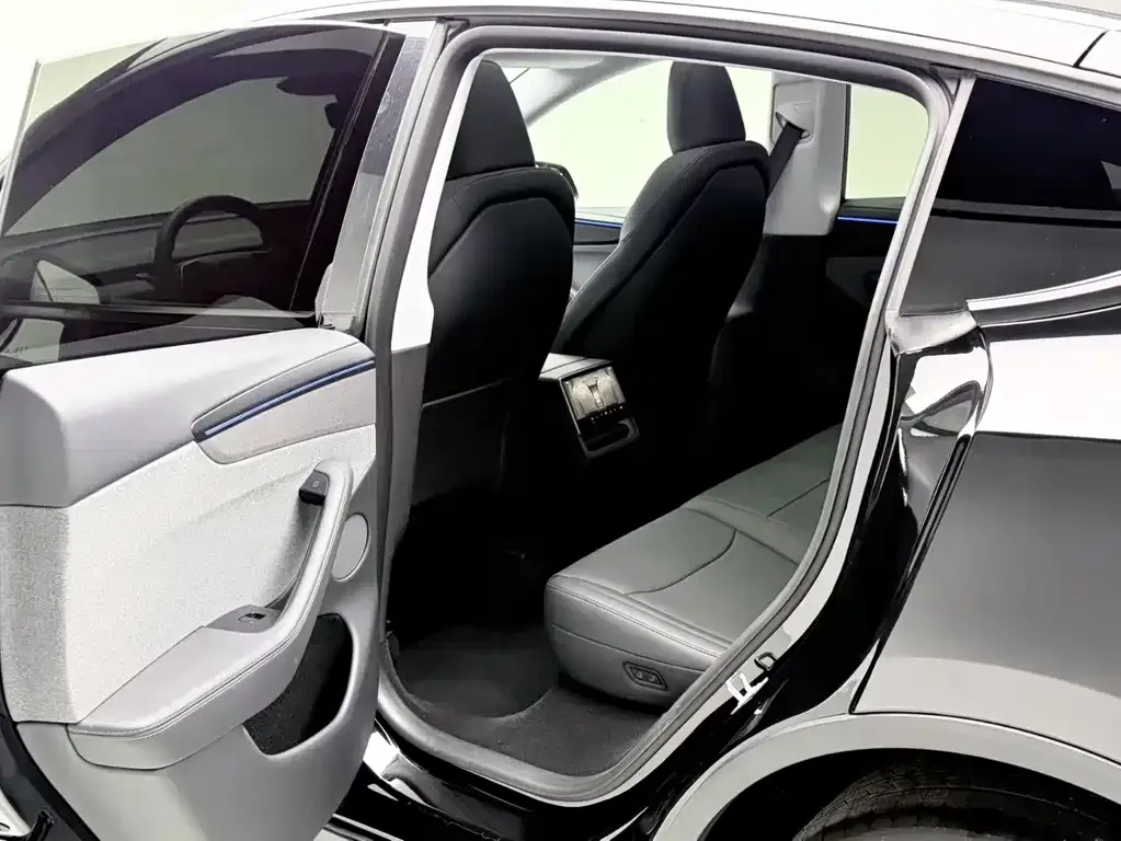 Tesla Model Y 2025 из CN, фото 10