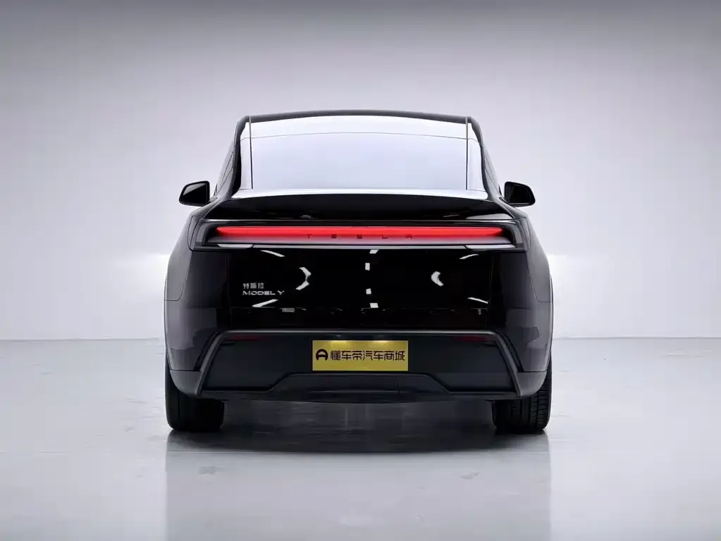 Tesla Model Y 2025 из CN, фото 4