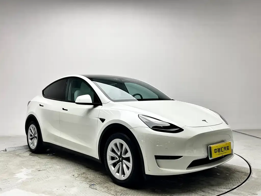 Tesla Model Y — фото 2