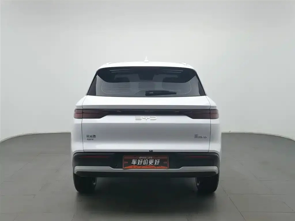 BYD Pro New Energy — фото 5