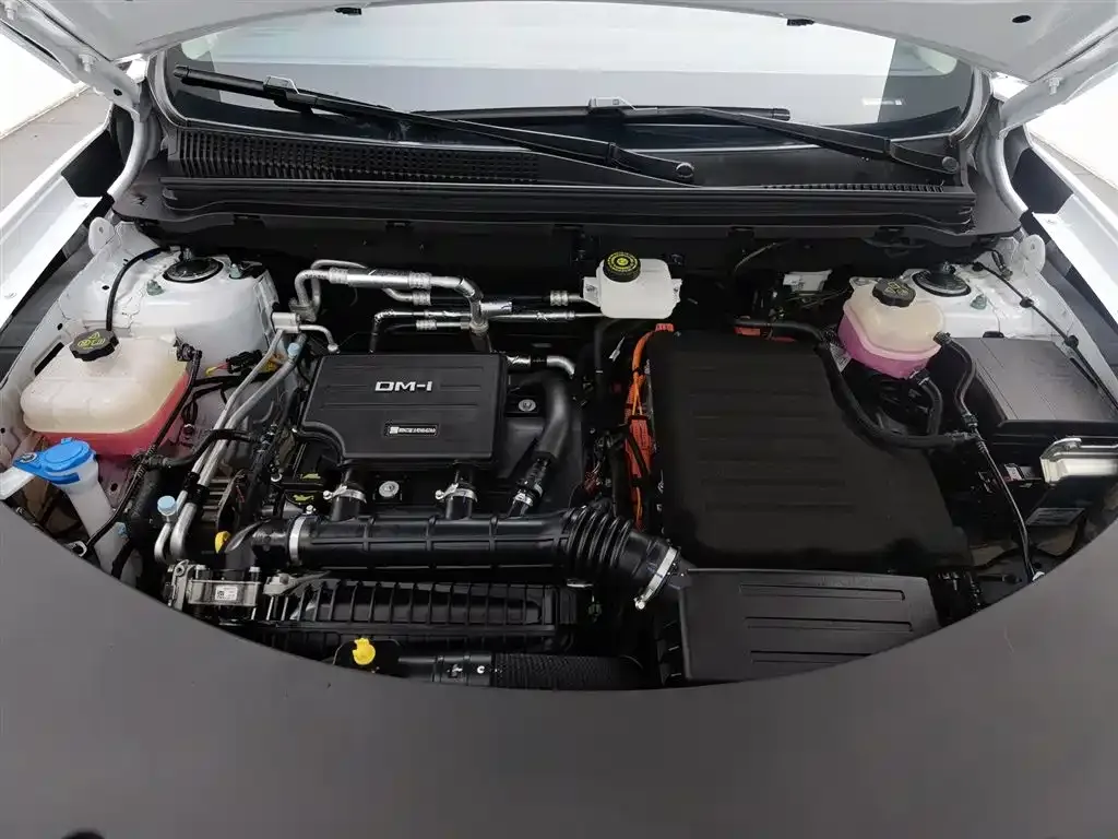 BYD Pro New Energy — фото 7