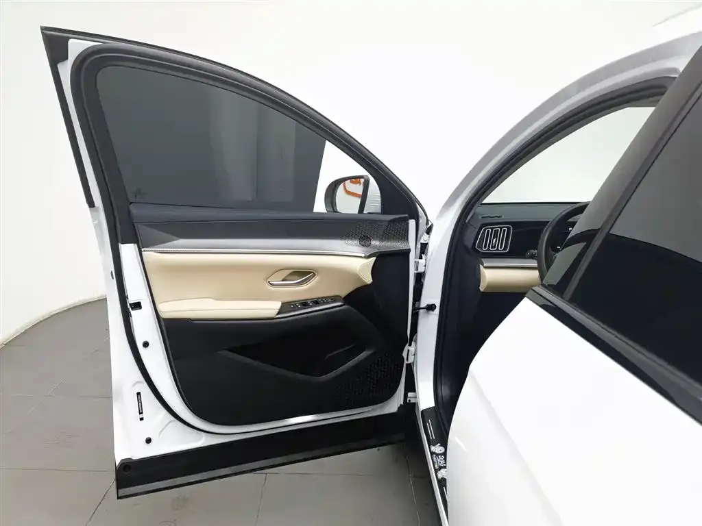BYD Pro New Energy — фото 6