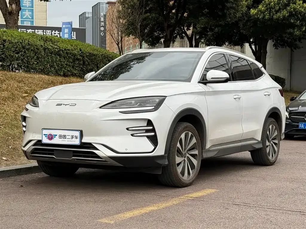 BYD PLUS New Energy 2023 из CN, фото 1