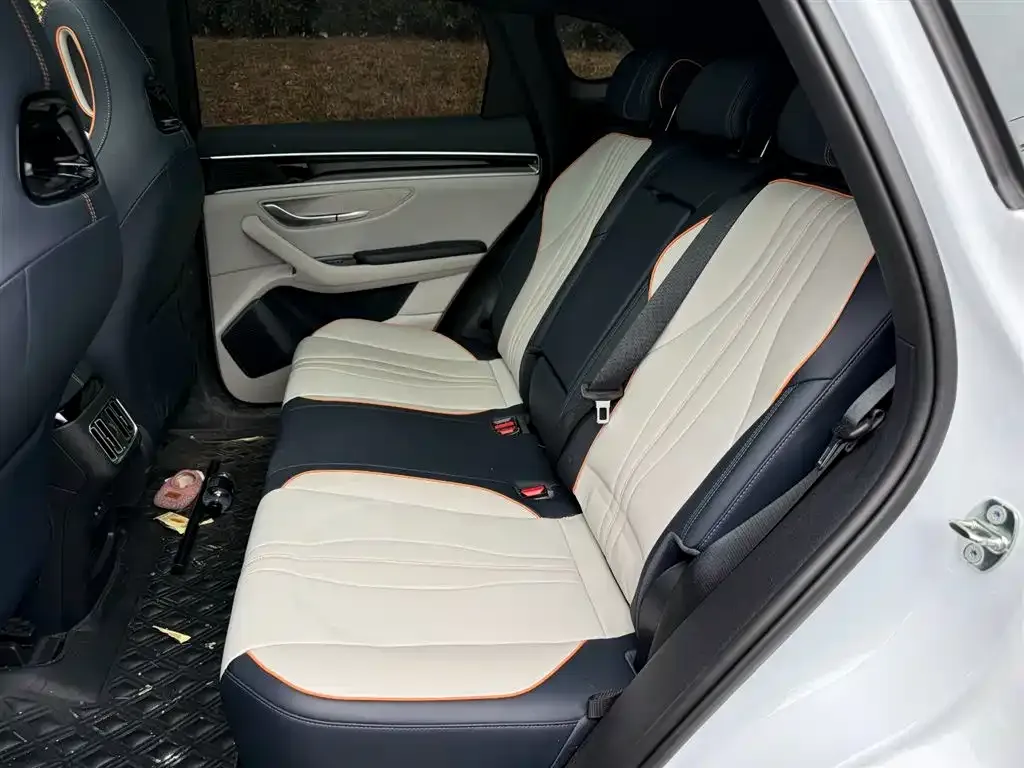 BYD PLUS New Energy 2023 из CN, фото 3