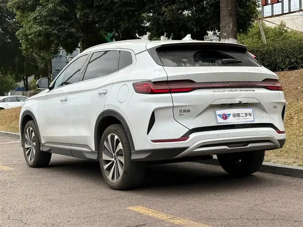 BYD PLUS New Energy 2023 из CN, фото 10