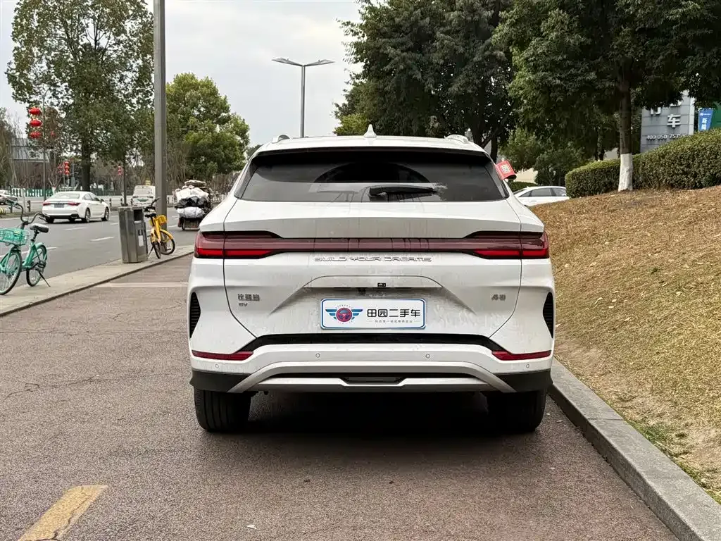 BYD PLUS New Energy 2023 из CN, фото 5