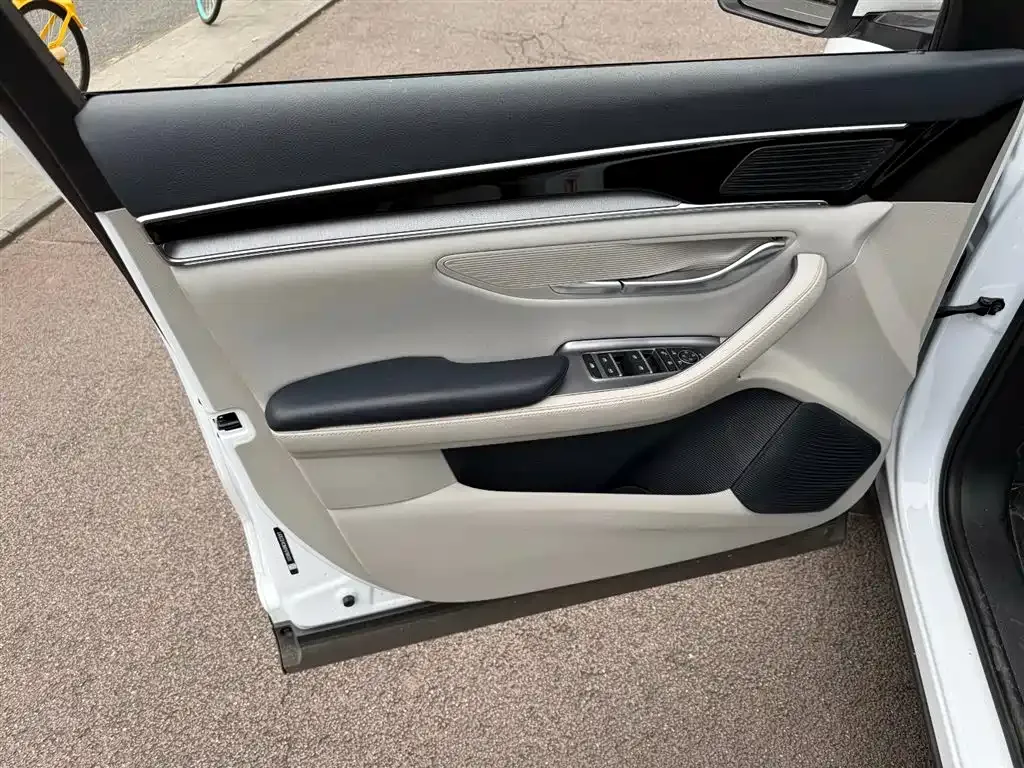 BYD PLUS New Energy 2023 из CN, фото 8