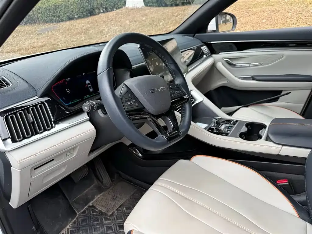 BYD PLUS New Energy 2023 из CN, фото 7