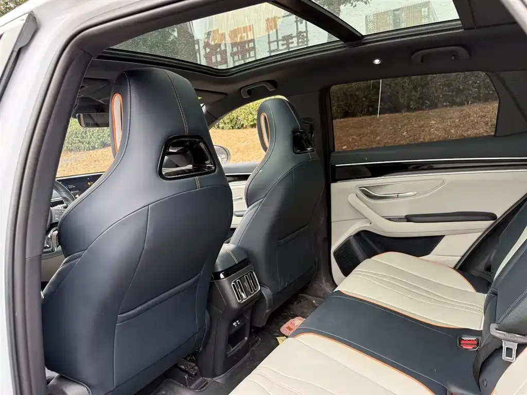 BYD PLUS New Energy 2023 из CN, фото 6