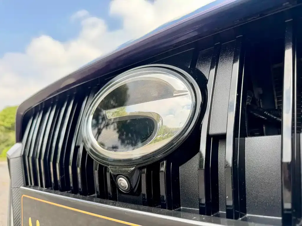 GAC Motor Shadow Leopard — фото 5