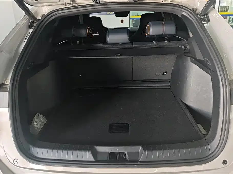 BYD PLUS New Energy 2023 из CN, фото 6