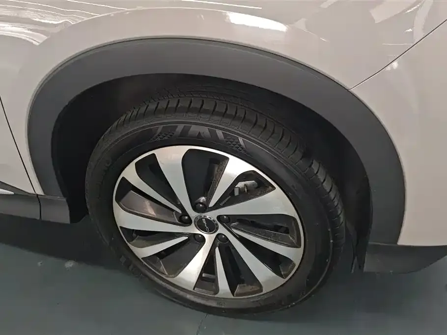 BYD PLUS New Energy 2023 из CN, фото 5