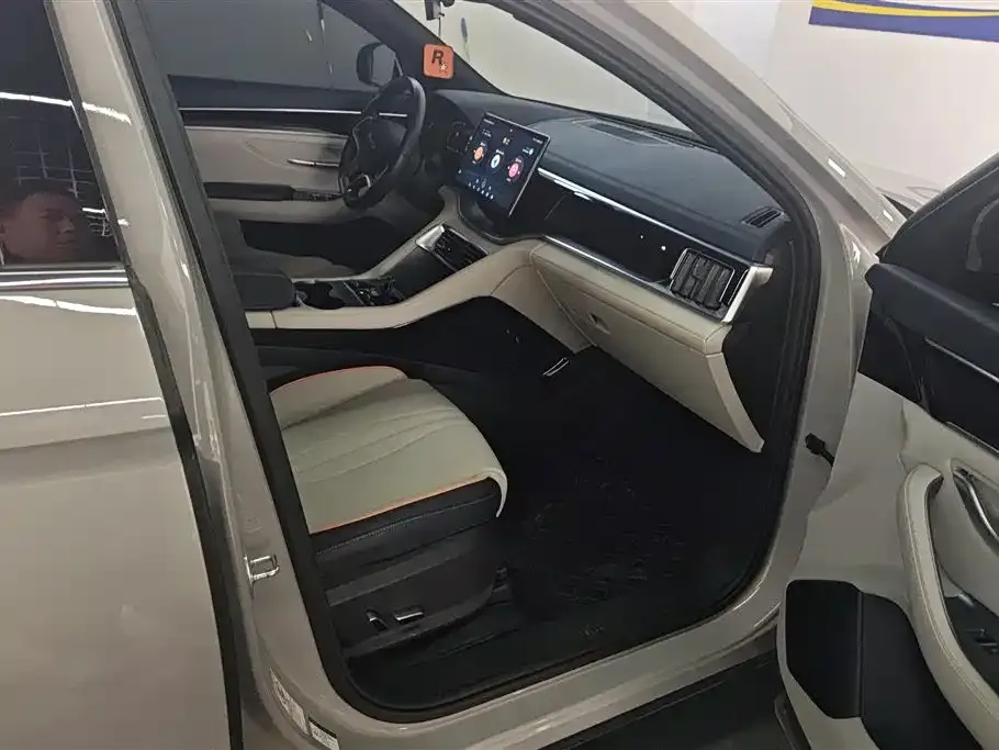 BYD PLUS New Energy 2023 из CN, фото 7