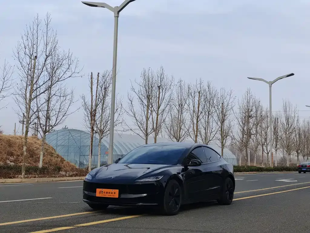 Tesla Model 3 2025 из CN, фото 1