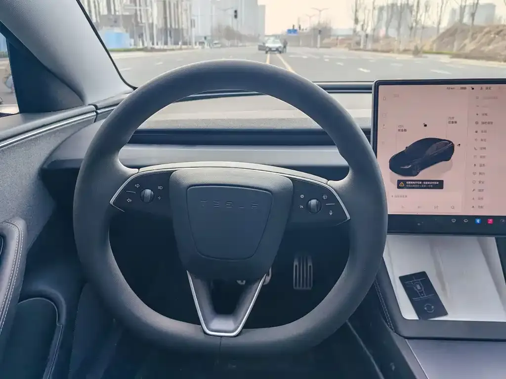 Tesla Model 3 2025 из CN, фото 5