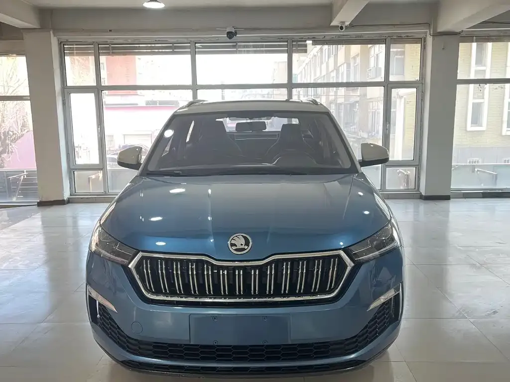 Skoda Kamiq 2022 из CN, фото 7