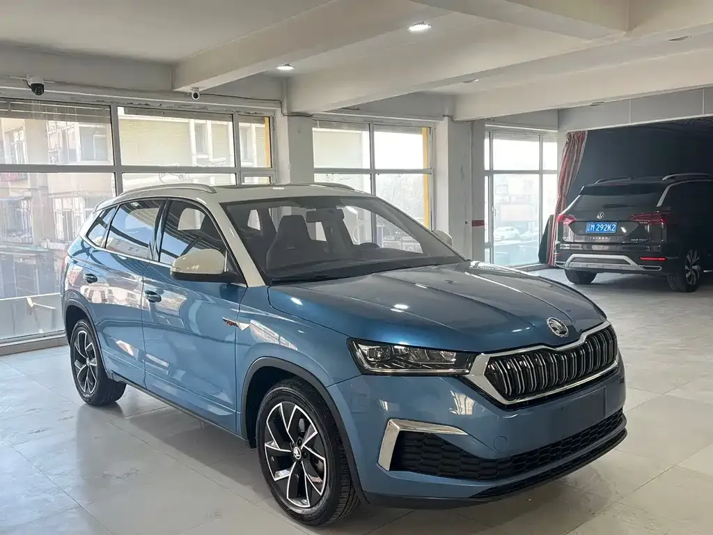 Skoda Kamiq 2022 из CN, фото 5