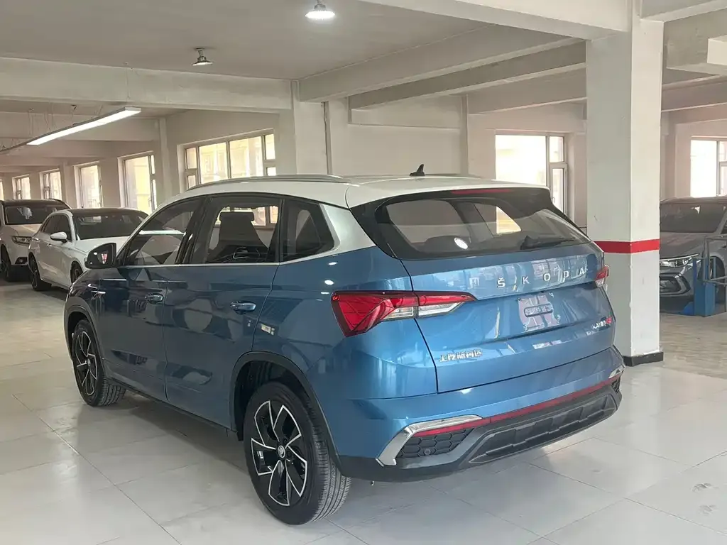 Skoda Kamiq 2022 из CN, фото 10