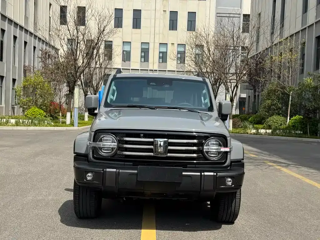 Tank 300 2022 из CN, фото 10