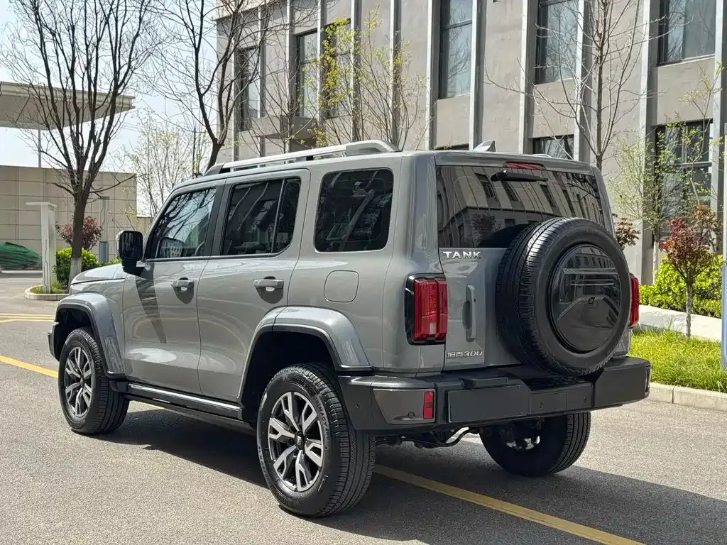 Tank 300 2022 из CN, фото 5