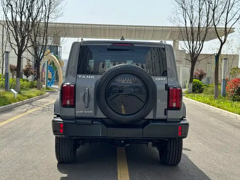 Tank 300 2022 из CN, фото 6