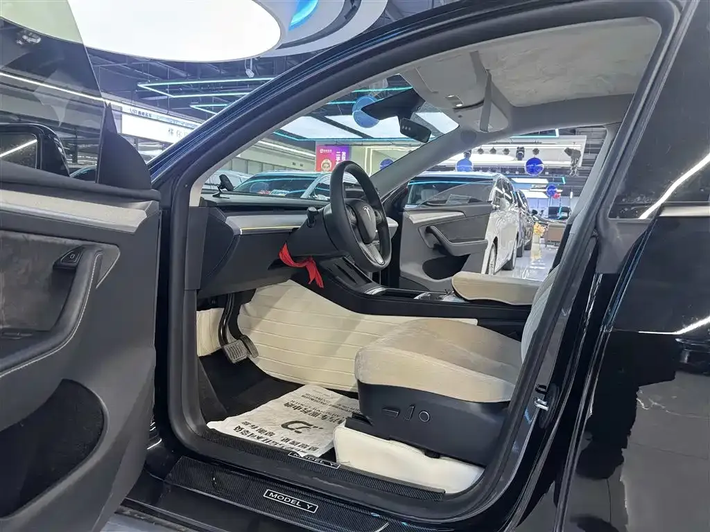 Tesla Model Y 2023 из CN, фото 8