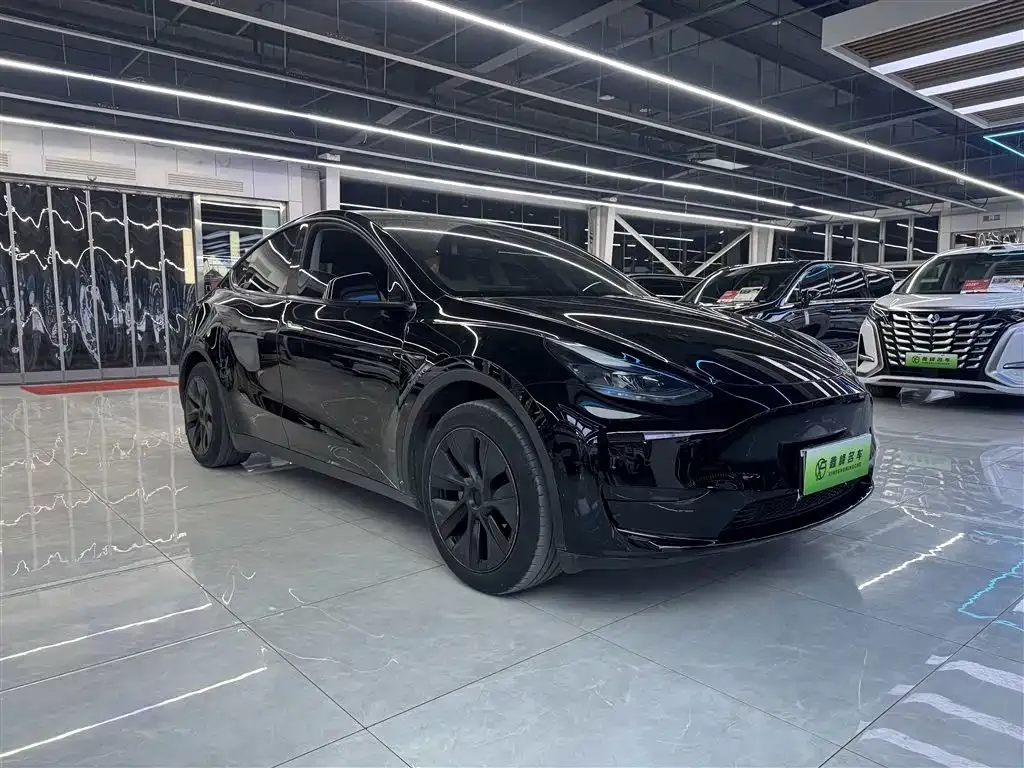 Tesla Model Y 2023 из CN, фото 5