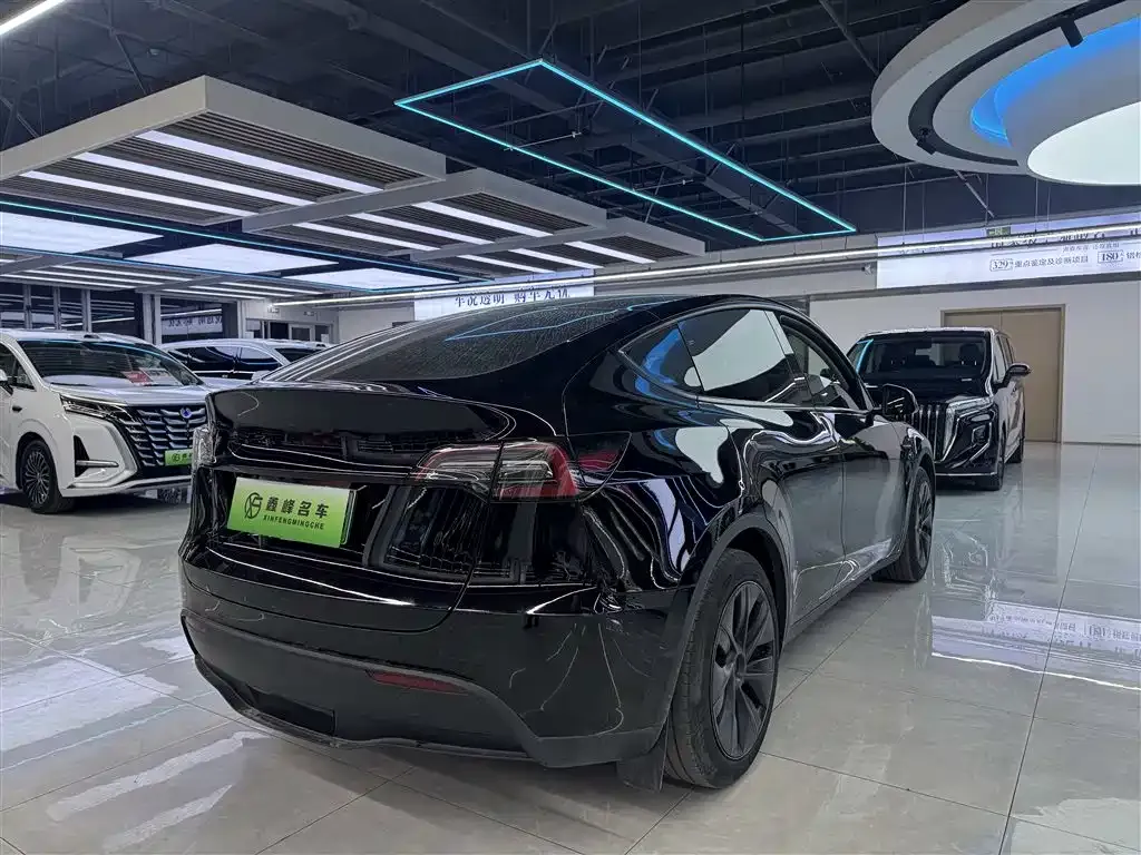 Tesla Model Y 2023 из CN, фото 9