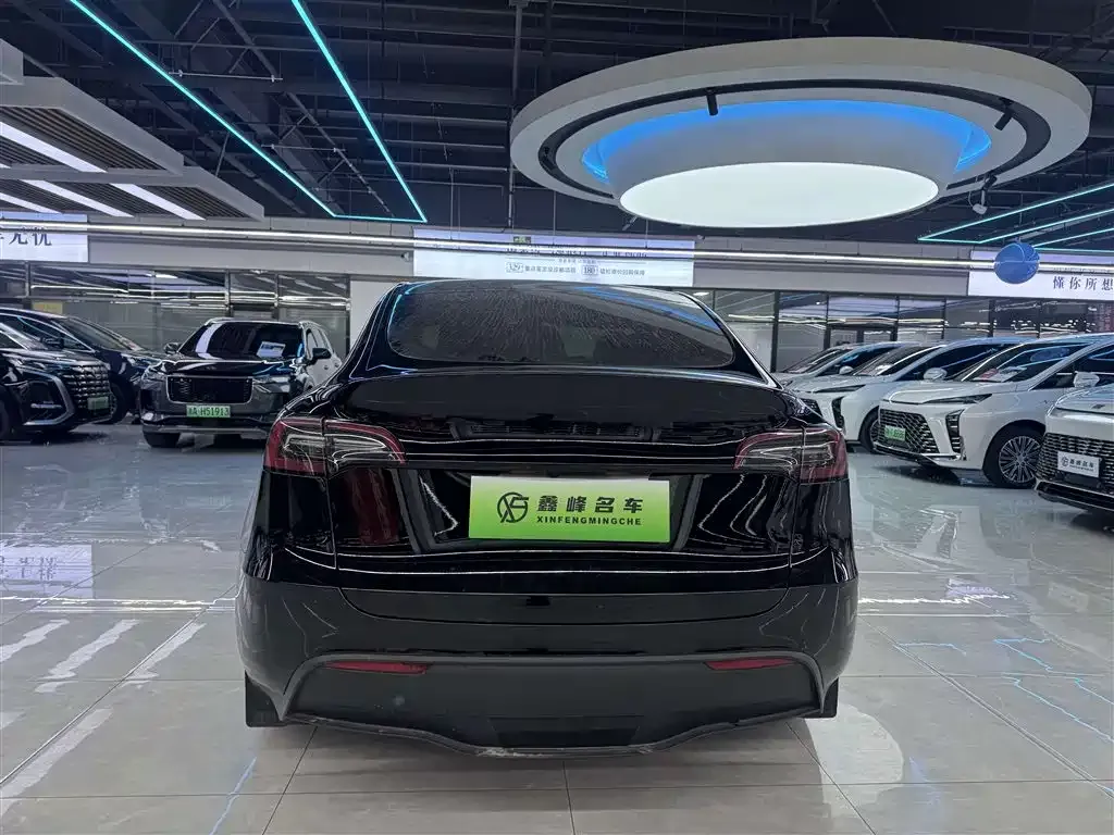 Tesla Model Y 2023 из CN, фото 7