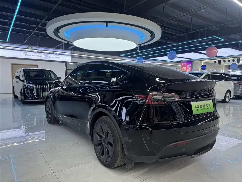 Tesla Model Y 2023 из CN, фото 4