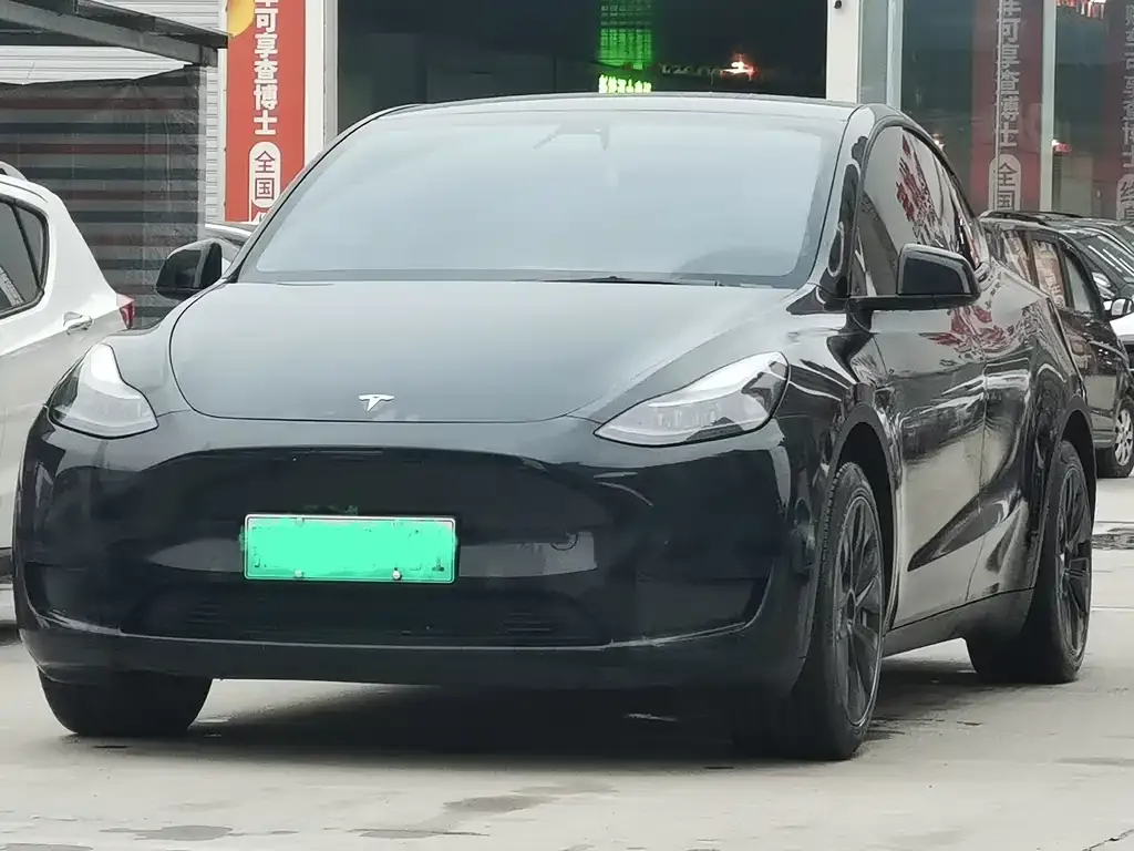 Tesla Model Y — фото 1