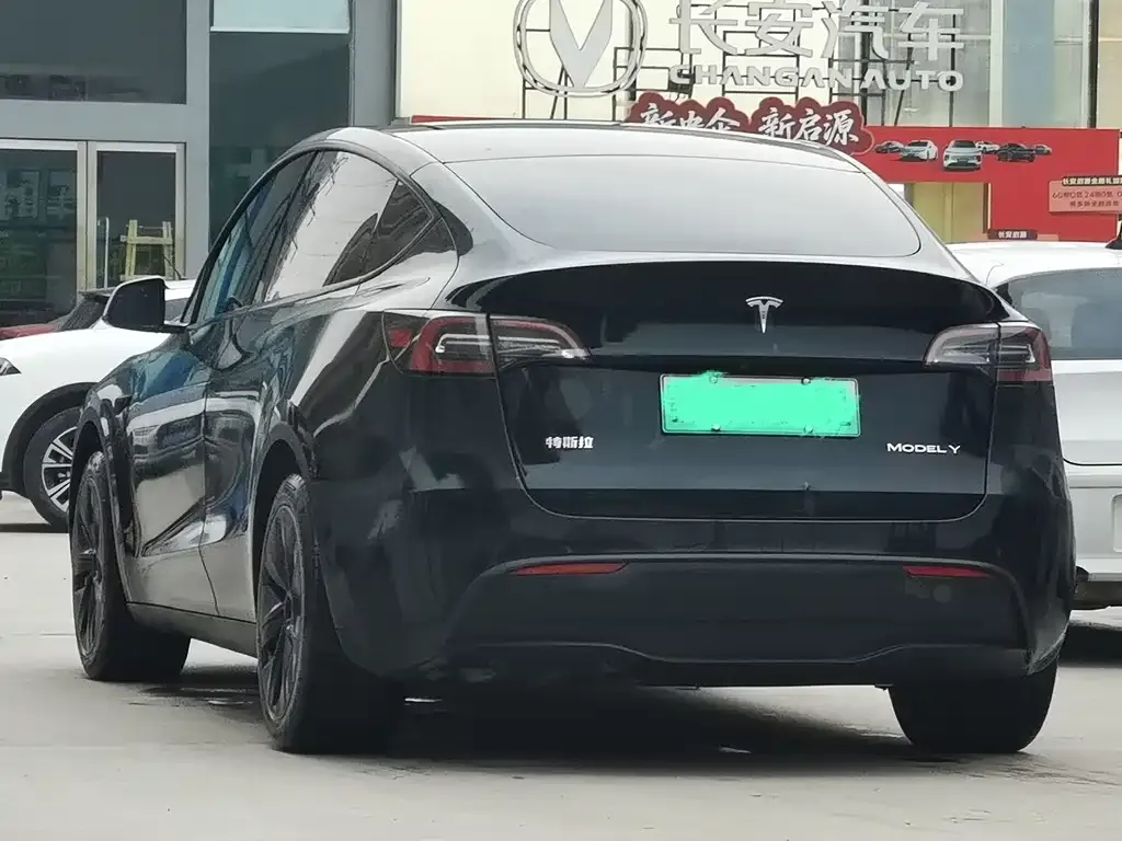 Tesla Model Y — фото 8