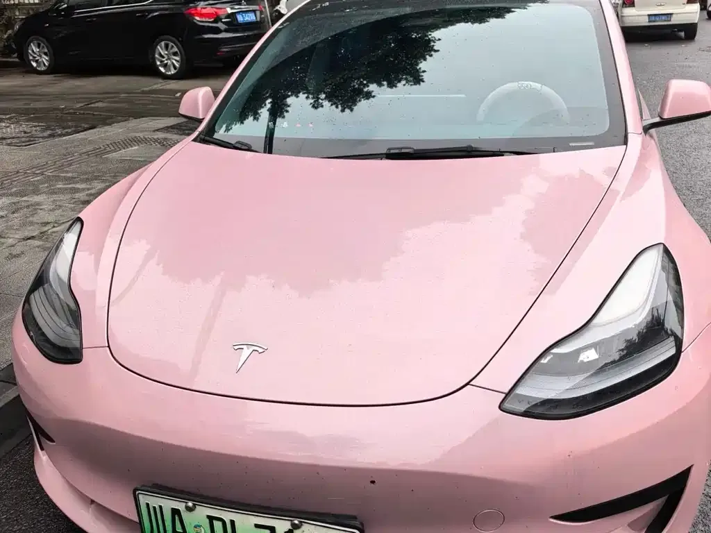 Tesla Model 3 2021 из CN, фото 1