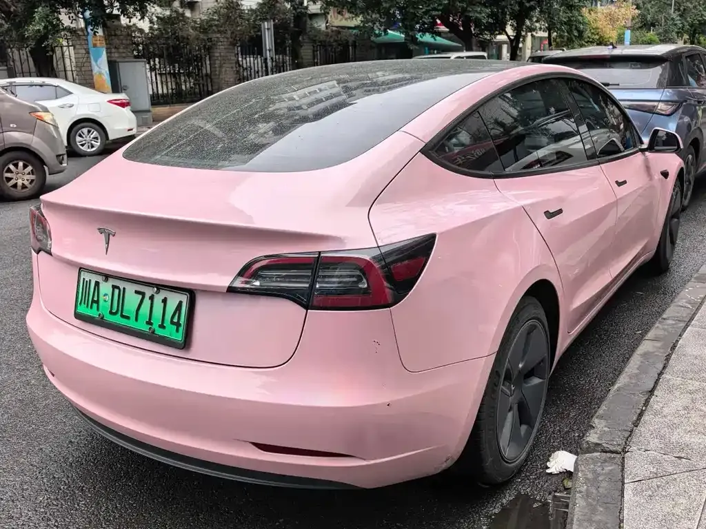 Tesla Model 3 2021 из CN, фото 6