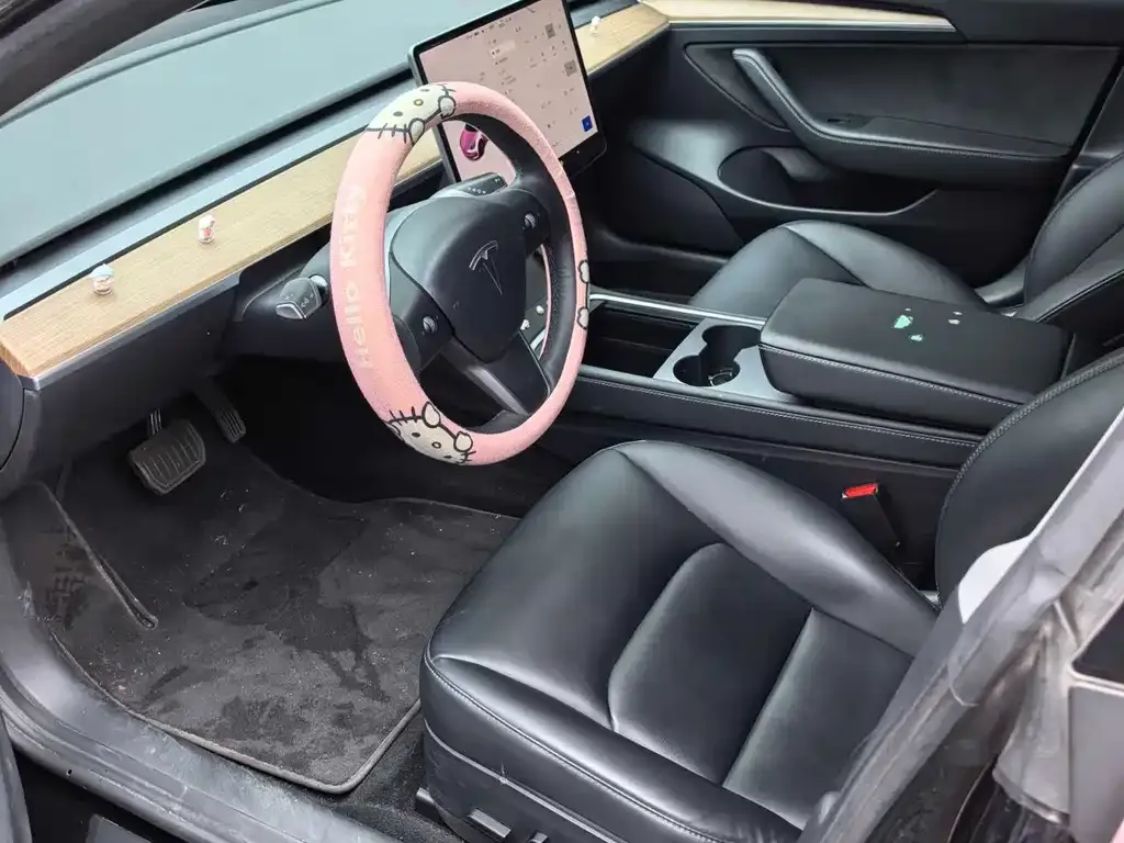 Tesla Model 3 2021 из CN, фото 7