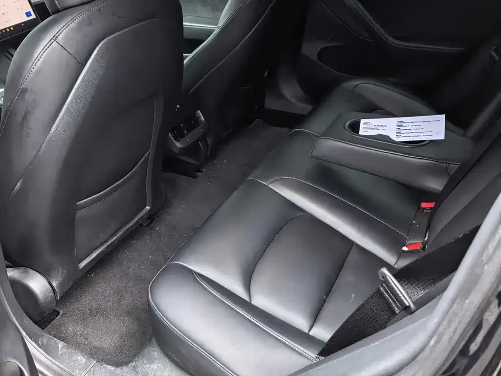 Tesla Model 3 2021 из CN, фото 2
