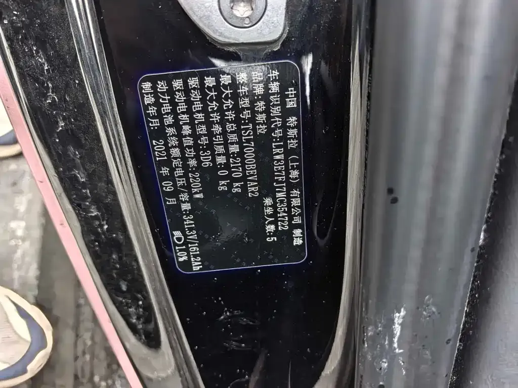 Tesla Model 3 2021 из CN, фото 5