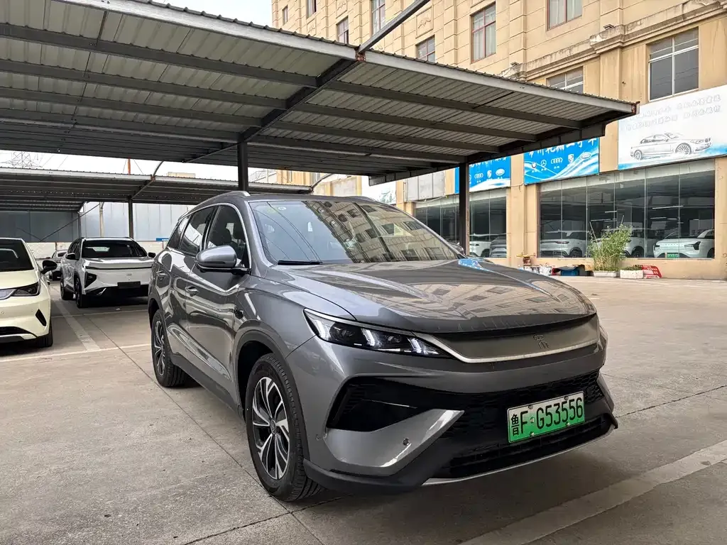 BYD Pro New Energy — фото 7