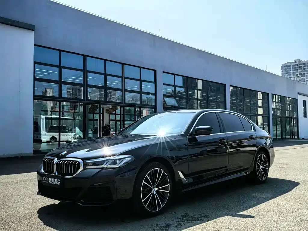 BMW 5 Series 2021 из CN, фото 1