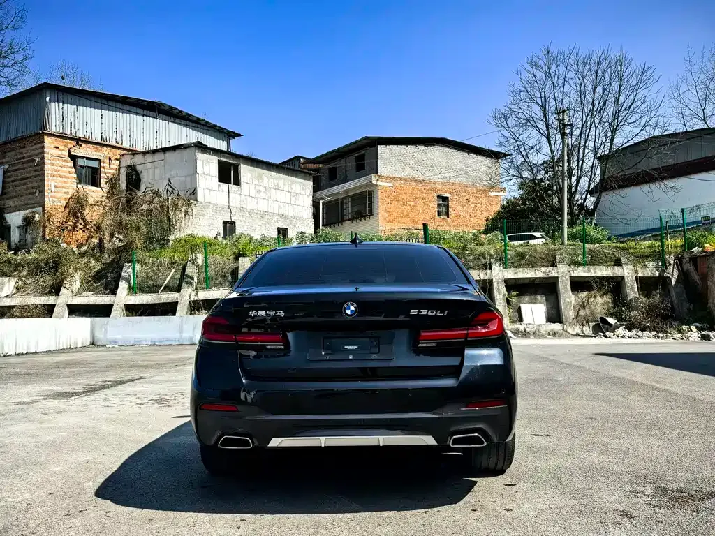 BMW 5 Series 2021 из CN, фото 8