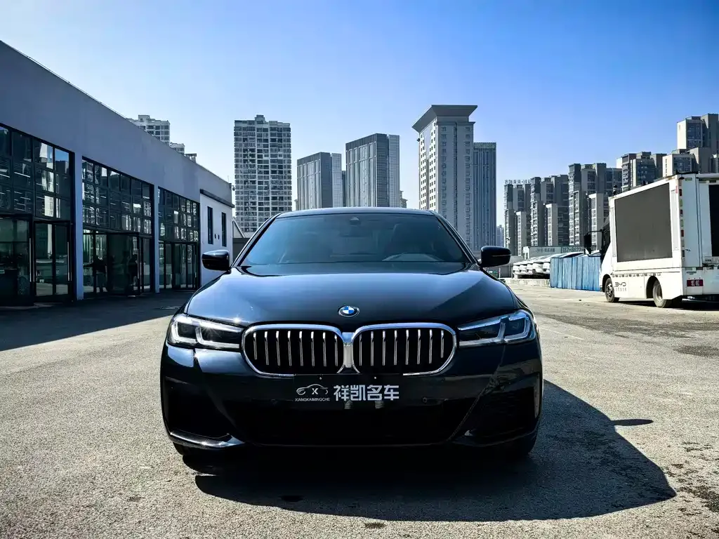 BMW 5 Series 2021 из CN, фото 6
