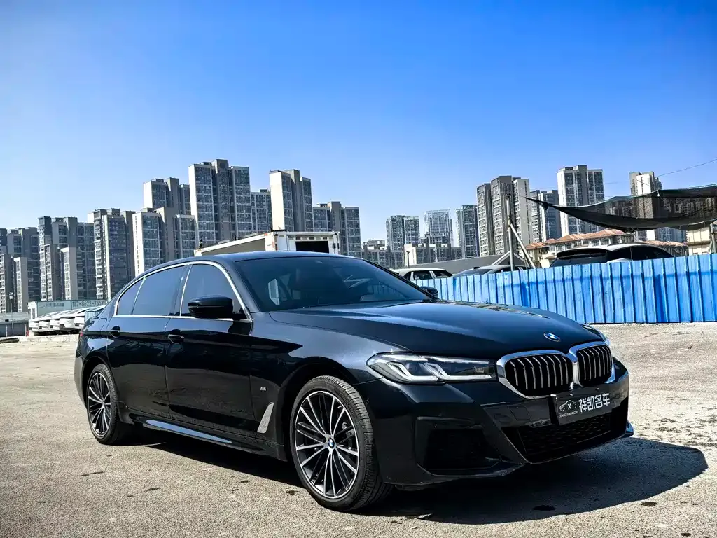 BMW 5 Series 2021 из CN, фото 9