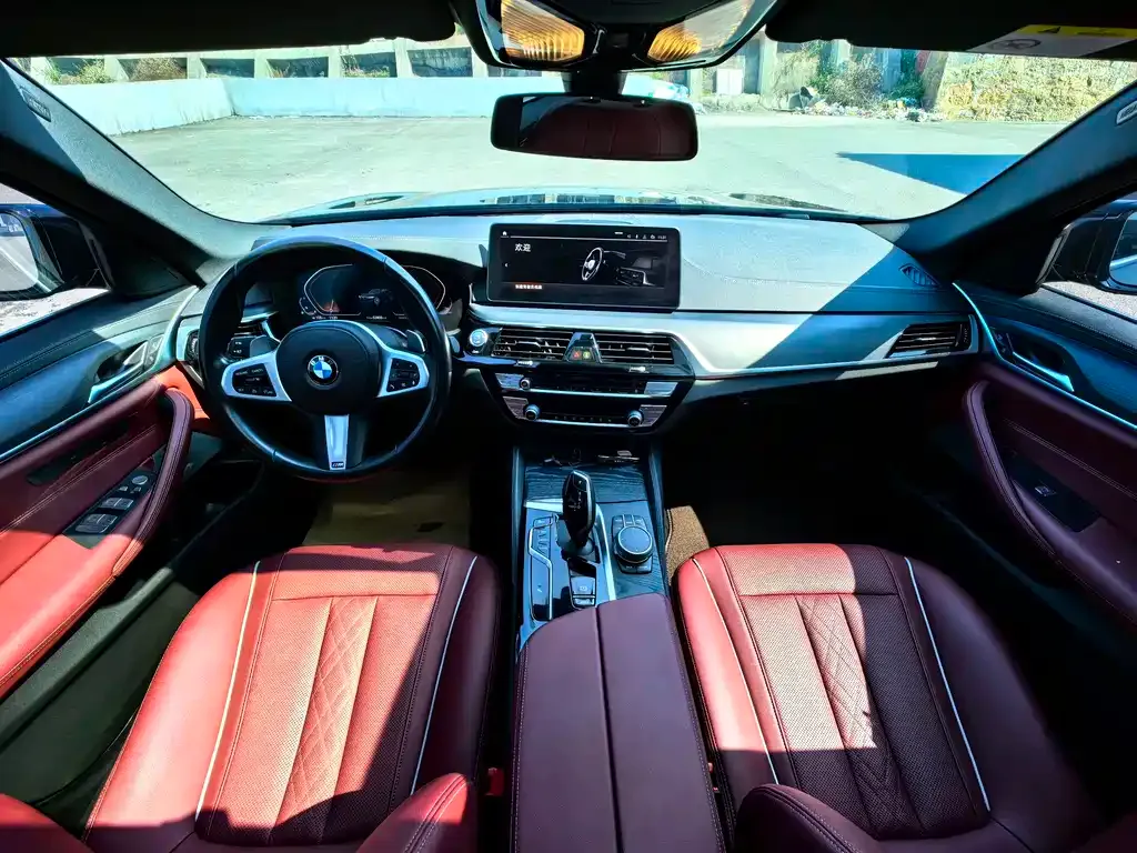 BMW 5 Series 2021 из CN, фото 5